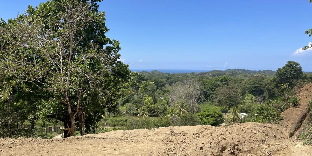 Lot with Big Ocean Views and Legal Water, Internet & Easy Access in Ojochal Costa Rica